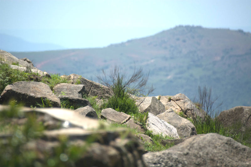 background_1
